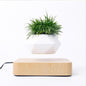 Floating Geometric Plant Hovering Floating Decor