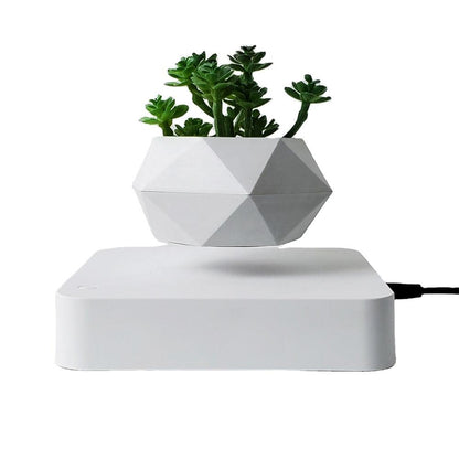 Floating Geometric Plant Hovering Floating Decor